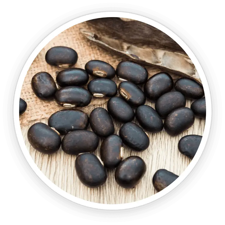 Quietum Plus Mucuna Pruriens and Maca Root ingredients